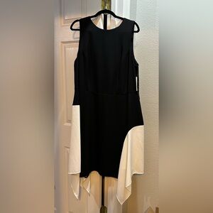 Elegant Black & White Dress